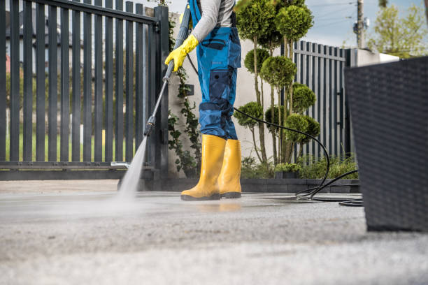 Professional Pressure Washing Services in Boulevard Gardens, FL